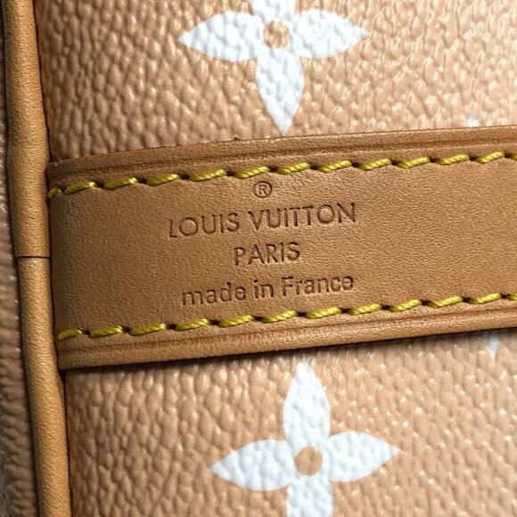 LOUIS VUITTON Monogram Giant Gradient Speedy Bandouliere - Picture 11 of 15